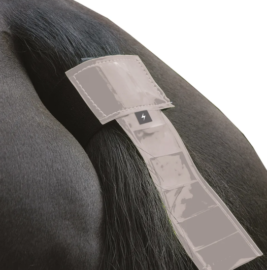 HYViz Reflective Tail Guard