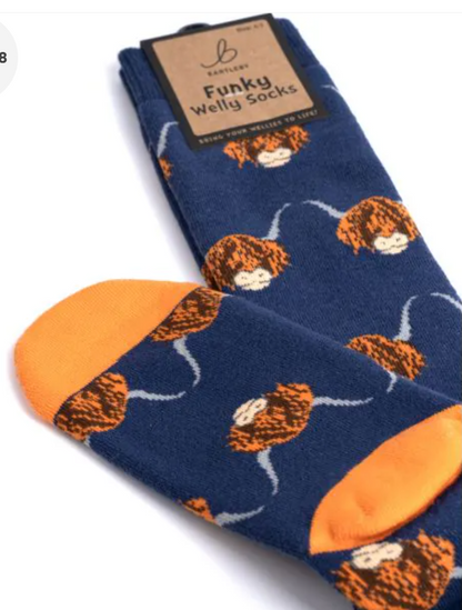 Bartleby Ladies Funky Welly Socks   7 Designs