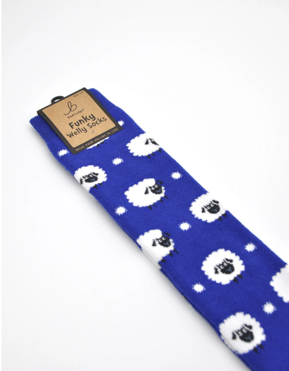 Bartleby Ladies Funky Welly Socks   7 Designs