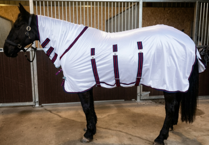 Sheldon Buxton Combo Fly Rug