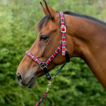 Hy Equestrian Woven Polo Head Collar and Lead Rope image 1