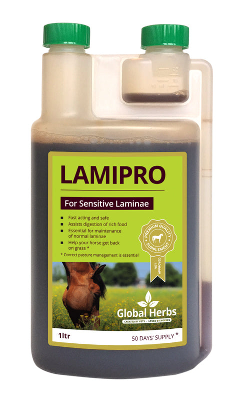 Global Herbs LamiPro image 0