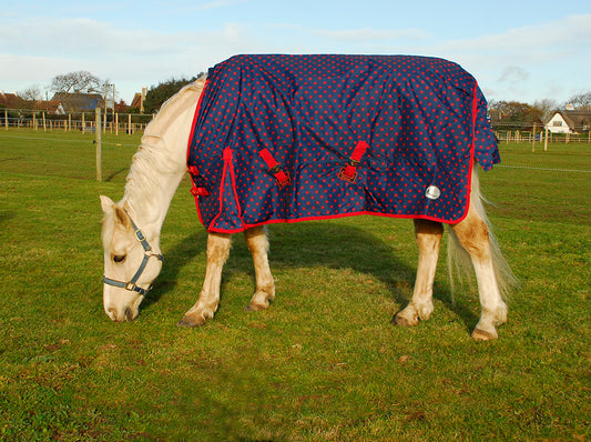 Rhinegold ‘Torrent Spot’ Lightweight Outdoor Rug image 0