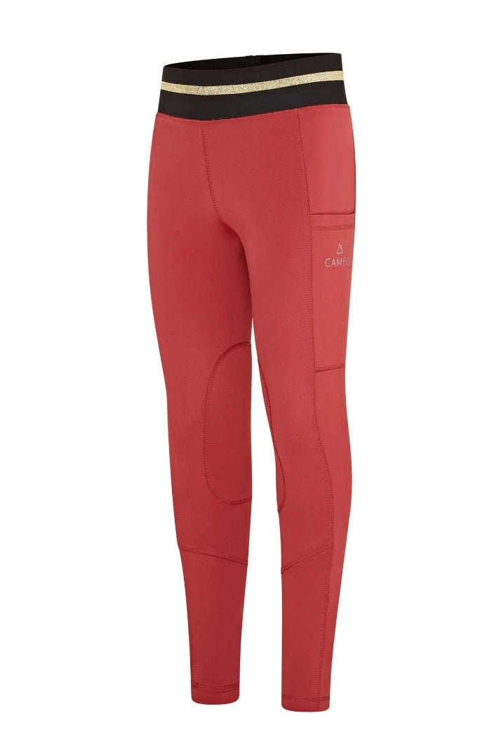  Cameo Equine Junior Winter Tights and Hoodie Set  image 4