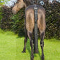 Cameo Core Collection Tail Guard and Bag