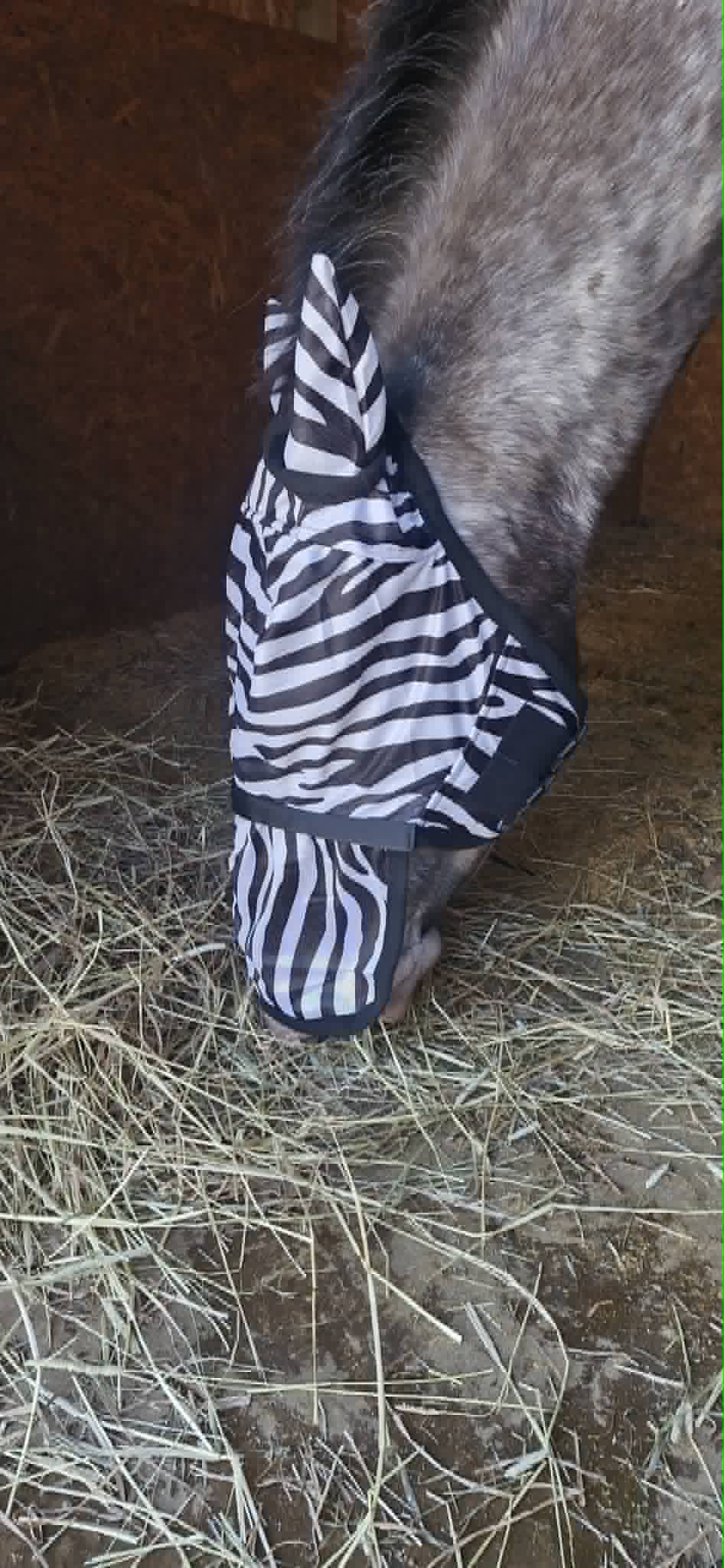 Hy Equestrian Zebra Fly Mask with Ears and Detachable Nose