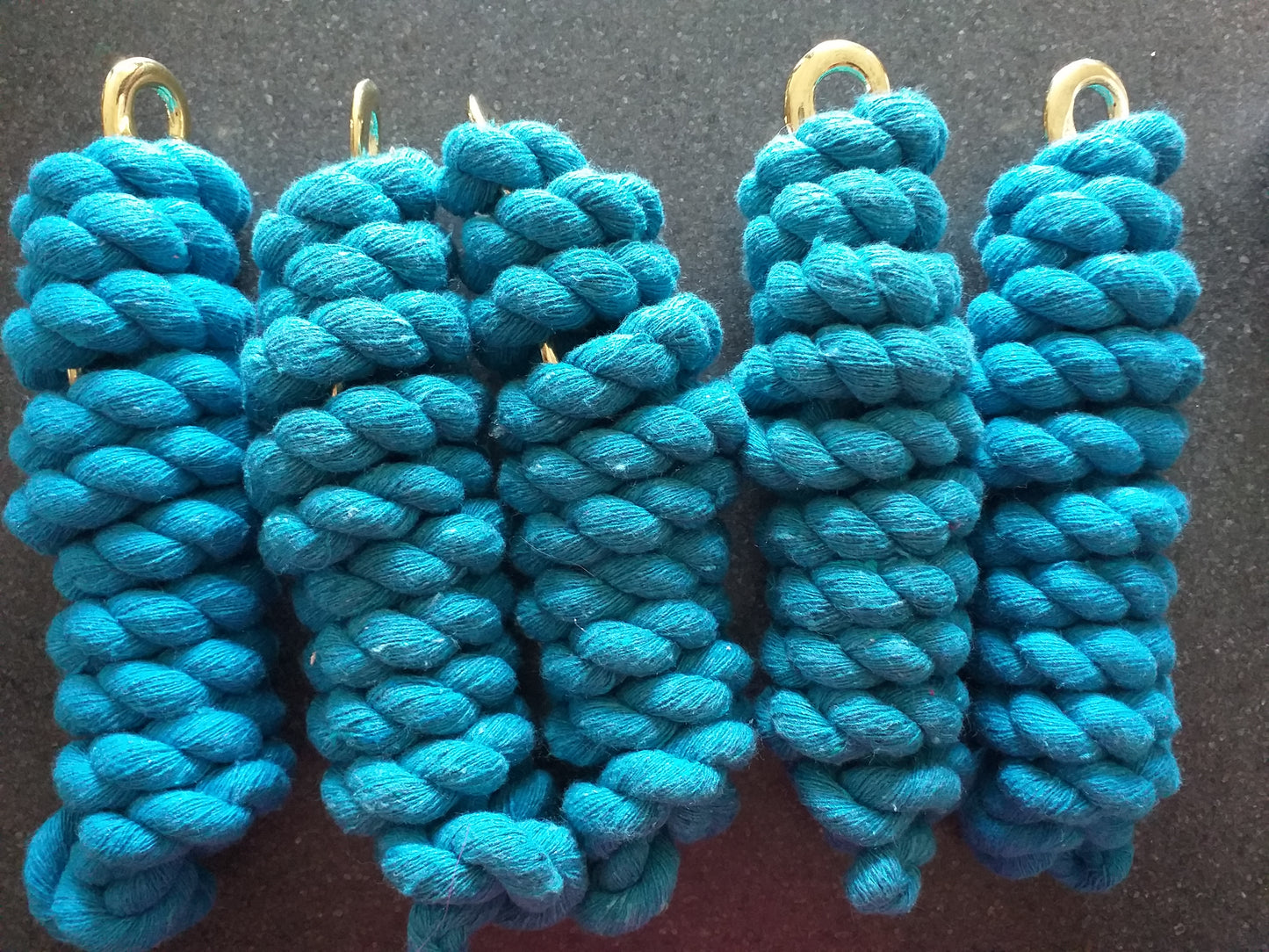 10 Pack Lead Ropes image 1
