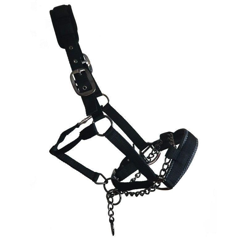 Control Comfort Headcollar With Chain image 1