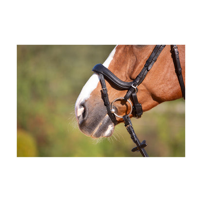 Kieffer Viola Snaffle Bridle image 2