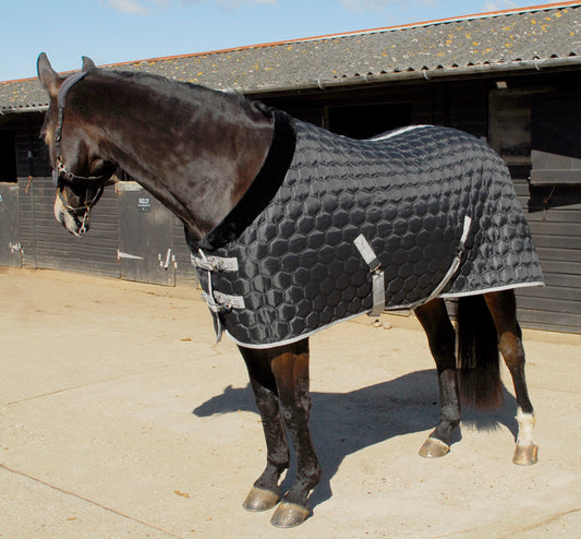 Rhinegold Michigan Hexagon Stable Quilted Rug image 0