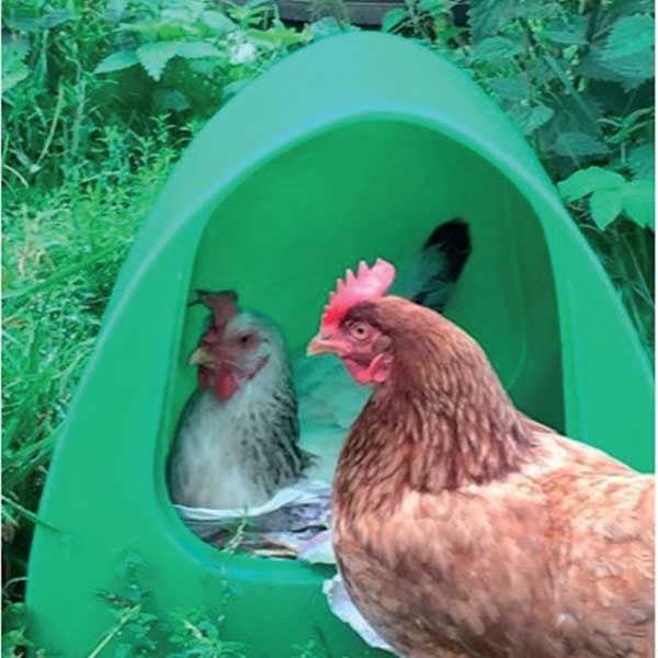 Poultry Palace image 0