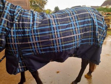 Sheldon 100g Combo Turnout Rug image 2