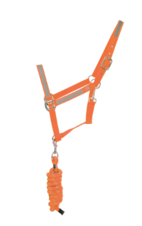 HyVIZ Reflective Headcollar and Rope