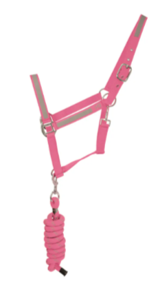 HyVIZ Reflective Headcollar and Rope