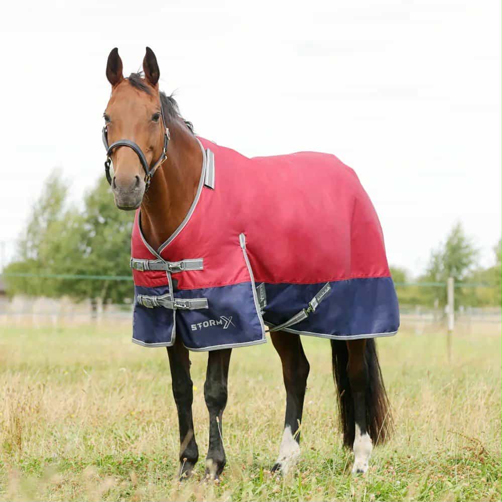 HY Equestrian StormX Empra 200 Turnout Rug  with Detachable Neck Cover